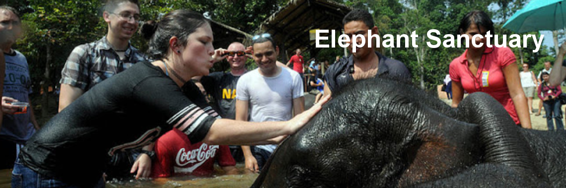 3D2N National Park (Taman Negara) Elephant Combo Ex-KL